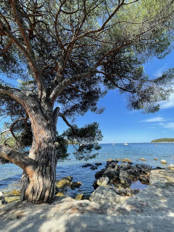 Clorinda Sea View Free Parking Daire Rovinj Dış mekan fotoğraf